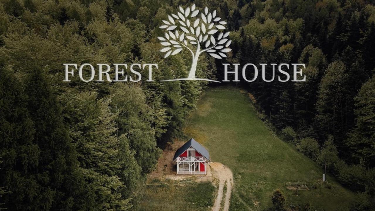 טרגאניצה Forest House מראה חיצוני תמונה