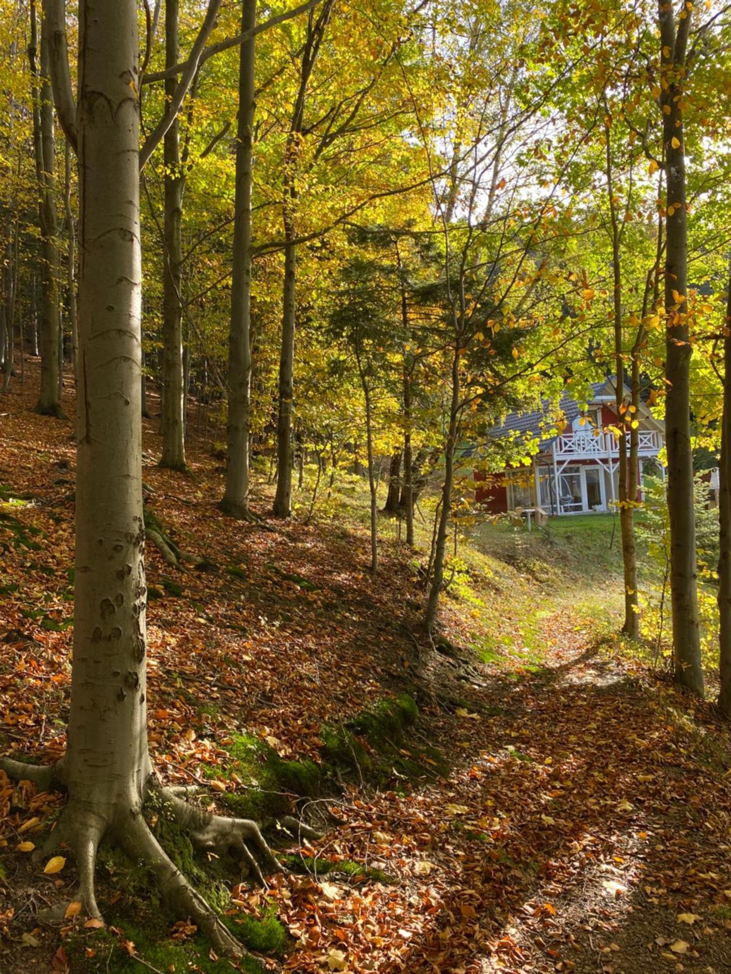 טרגאניצה Forest House מראה חיצוני תמונה